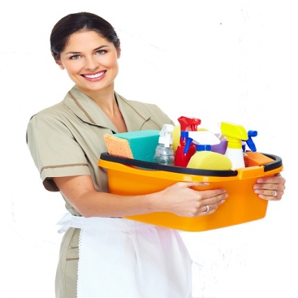 Young smiling cleaner woman in modern house.